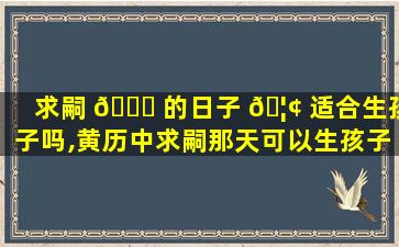 求嗣 🐛 的日子 🦢 适合生孩子吗,黄历中求嗣那天可以生孩子吗